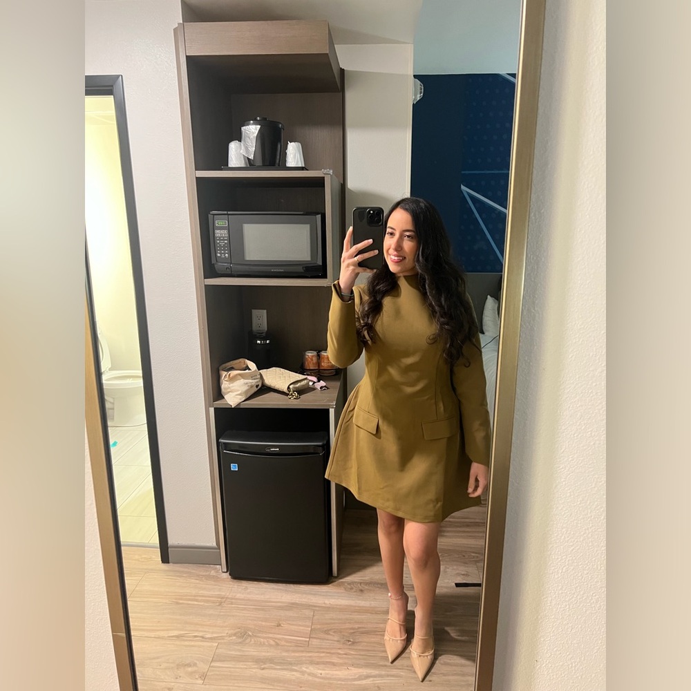 The Ultimate Muse Olive Mini Dress